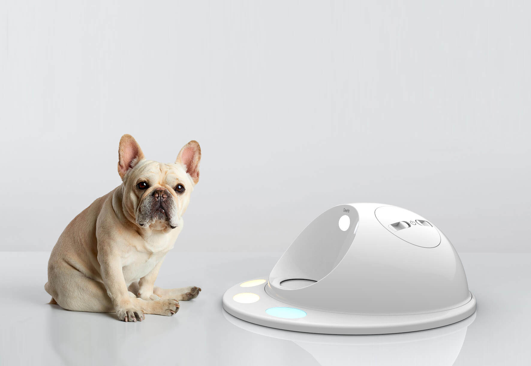 Clever Pet